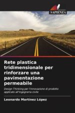 Rete plastica tridimensionale per rinforzare una pavimentazione permeabile