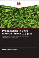 Propagation in vitro d'Aerva lanata (L.) Juss