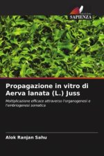 Propagazione in vitro di Aerva lanata (L.) Juss