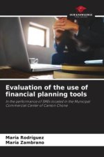 Evaluation of the use of financial planning tools