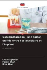 Osséointégration : une liaison unifiée entre l'os alvéolaire et l'implant
