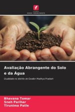 Avaliação Abrangente do Solo e da Água