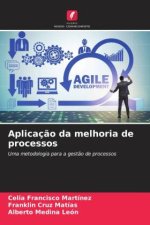 Aplicaç?o da melhoria de processos