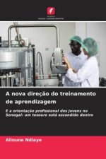 A nova direç?o do treinamento de aprendizagem