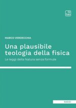 plausibile teologia della fisica. Le leggi della natura senza formule