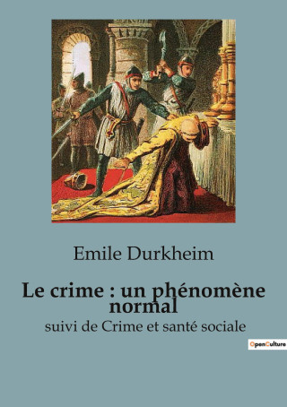 CRIME PHENOMENE NORMAL