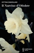 narciso d'ottobre