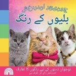 جونیئر اندردخش, بلیوں کے 