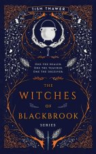The Witches of BlackBrook Series Omnibus