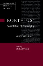 Boethius's ‘Consolation of Philosophy'