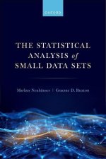 The Statistical Analysis of Small Data Sets (Paperback)