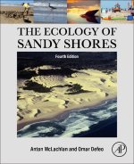 The Ecology of Sandy Shores