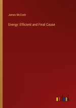 Energy: Efficient and Final Cause