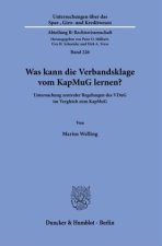 Was kann die Verbandsklage vom KapMuG lernen?