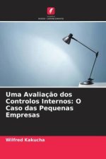 Uma Avaliaç?o dos Controlos Internos: O Caso das Pequenas Empresas