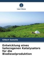 Entwicklung eines heterogenen Katalysators für die Biodieselproduktion