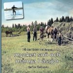 P? den tiden det fanns mycket snö och m?nga hässjor