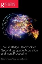 Routledge Handbook of Second Language Acquisition and Input Processing