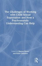 Challenges of Working with Child Sexual Exploitation and How a Psychoanalytic Understanding Can Help