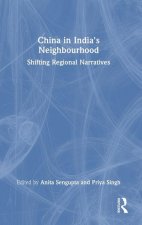 China in India's Neighbourhood
