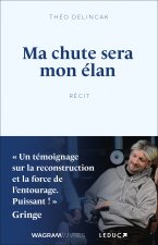 Ma chute sera mon élan