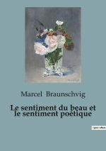 SENTIMENT DU BEAU ET SENTIMENT POETIQUE