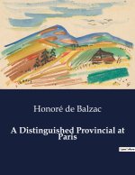 A DISTINGUISHED PROVINCIAL AT PARIS