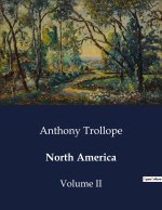 NORTH AMERICA