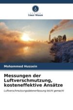 Messungen der Luftverschmutzung, kosteneffektive Ansätze