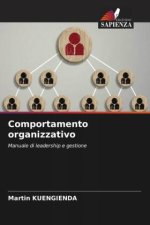 Comportamento organizzativo