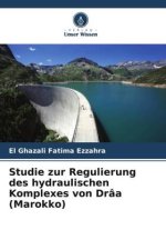Studie zur Regulierung des hydraulischen Komplexes von Drâa (Marokko)