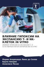VLIYaNIE GIPOKSII NA JeKSPANSIJu T- I NK-KLETOK IN VITRO