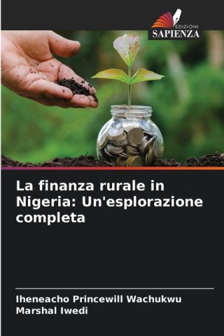 La finanza rurale in Nigeria: Un'esplorazione completa