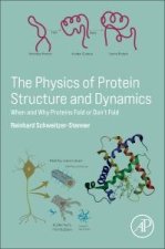 The Physics of Protein Structure and Dynamics