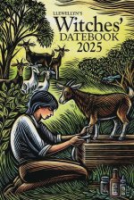 CAL 25 LLEWELLYNS WITCHES DATEBK