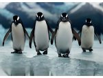 3D pohlednice Four Penguins AI