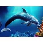 3D pohlednice Corl Dolphin AI