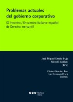 PROBLEMAS ACTUALES DEL GOBIERNO CORPORATIVO. IX INCONTRO;ENCUENTR