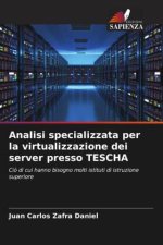 Analisi specializzata per la virtualizzazione dei server presso TESCHA