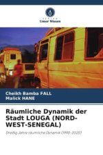 Räumliche Dynamik der Stadt LOUGA (NORD-WEST-SENEGAL)