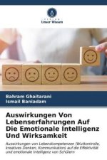 Auswirkungen Von Lebenserfahrungen Auf Die Emotionale Intelligenz Und Wirksamkeit
