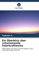 Ein Überblick über schwimmende Solarkraftwerke