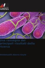 Una rassegna dei principali risultati della ricerca