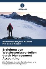Erzielung von Wettbewerbsvorteilen durch Management Accounting