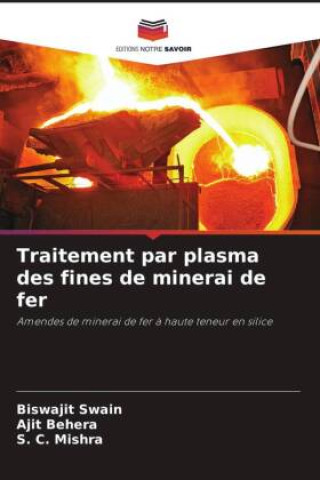 Traitement par plasma des fines de minerai de fer