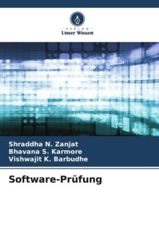 Software-Prüfung