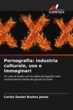 Pornografia: industria culturale, uso e immaginari