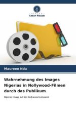 Wahrnehmung des Images Nigerias in Nollywood-Filmen durch das Publikum