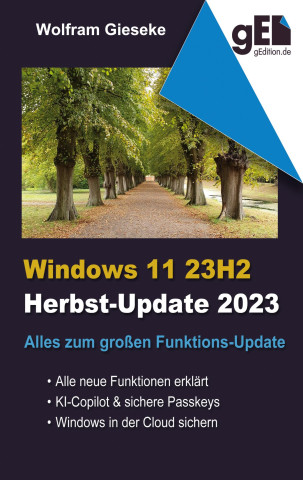 Windows 11 23H2