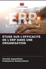ÉTUDE SUR L'EFFICACITÉ DE L'ERP DANS UNE ORGANISATION